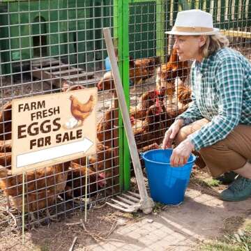 Lesnala 3pcs Double Sided Farm Fresh Eggs Sign Corrugated Plastic Mark with 6 Stakes for Indoor Outdoor Yard Business Supplies Home Decor 14.37 X 11.22inch