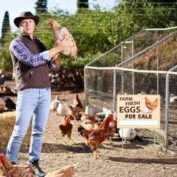 Lesnala 3pcs Double Sided Farm Fresh Eggs Sign Corrugated Plastic Mark with 6 Stakes for Indoor Outdoor Yard Business Supplies Home Decor 14.37 X 11.22inch