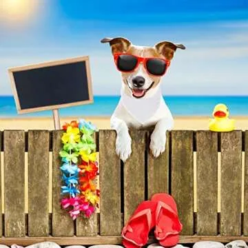 12 Pack Customizable White Dog Bandanas for Sublimation