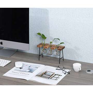 TQVAI Air Plant Terrarium Glass Vase(3 Bulb Vase) with Retro Wooden Mini Bench Stand Cute Air Planter Globe Orbs - Ideal for Home Office Decoration