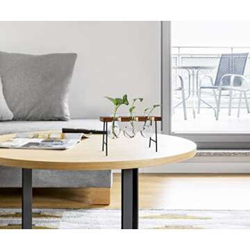 TQVAI Air Plant Terrarium Glass Vase(3 Bulb Vase) with Retro Wooden Mini Bench Stand Cute Air Planter Globe Orbs - Ideal for Home Office Decoration