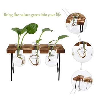 TQVAI Air Plant Terrarium Glass Vase(3 Bulb Vase) with Retro Wooden Mini Bench Stand Cute Air Planter Globe Orbs - Ideal for Home Office Decoration