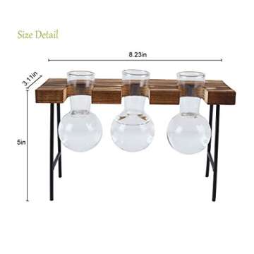 TQVAI Air Plant Terrarium Glass Vase(3 Bulb Vase) with Retro Wooden Mini Bench Stand Cute Air Planter Globe Orbs - Ideal for Home Office Decoration