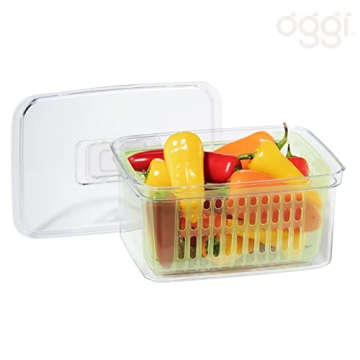 Oggi Store Fresh Veggie Bin - Keep Fruits Veggies Fresh