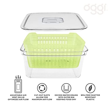 Oggi Store Fresh Veggie Bin - Keep Fruits Veggies Fresh