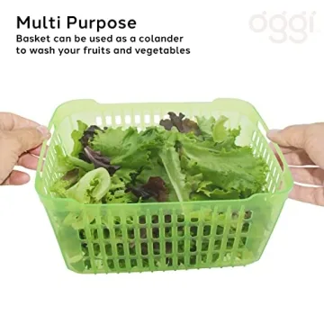 Oggi Store Fresh Veggie Bin - Keep Fruits Veggies Fresh