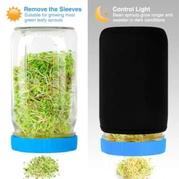 Essential Sprout Jar Kit: Everything for Healthy Sprouts