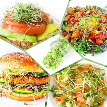 Complete Sprout Jar Kit for Home Gardening Essentials