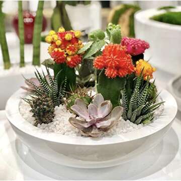 Modern Fiberglass Glossy White Monique Flower Pot Planter Bowl Home Decor by Pottery Pots (L 17in)