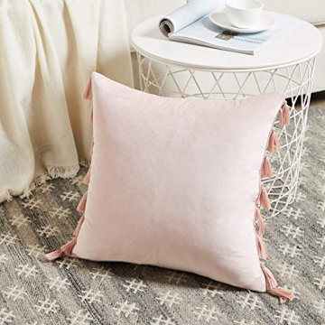 Fancy Homi Cute Decorative Pillow Covers with Tassels