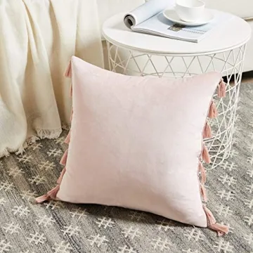 Fancy Homi Cute Decorative Pillow Covers with Tassels