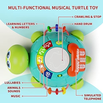 Letapapa Musical Turtle Toy for Baby Play and Learning