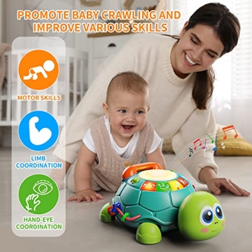 Letapapa Musical Turtle Toy for Baby Play and Learning