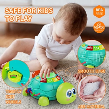 Letapapa Musical Turtle Toy for Baby Play and Learning