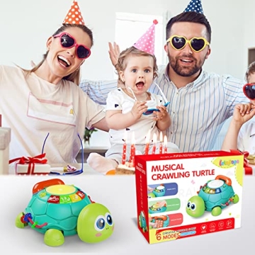 Letapapa Musical Turtle Toy for Baby Play and Learning