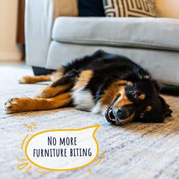 YUMA'S Natural Bully Sticks 6 inch Pack of 10 for Dogs for Intense Chewers Digestible Dog Treats Made of 100% Beef - Dog Bully Sticks for Cleaner Teeth- Long Lasting Dog Chews (6 inch, Pack of 10)