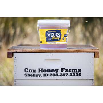 Cox's Honey - Bulk Honey Raw Unfiltered, 12 LBS | 100% Pure Clover Honey - Product of the USA