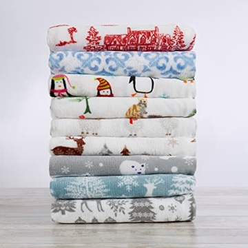 Cozy Velvet Plush King Micro Fleece Sheet Set for Winter