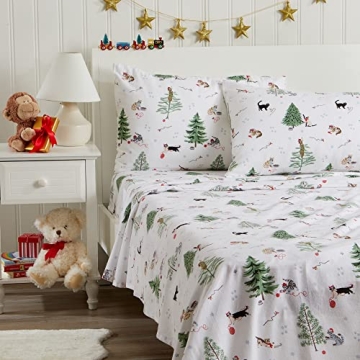 Cozy Velvet Plush King Micro Fleece Sheet Set for Winter