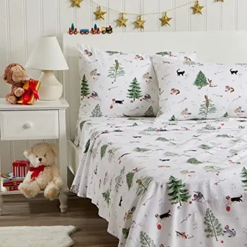 Cozy Velvet Plush King Micro Fleece Sheet Set for Winter