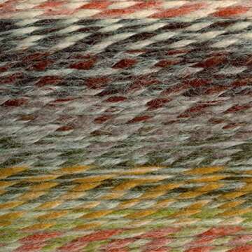 Lion Brand Yarn - Wool-Ease Thick & Quick - Prints & Stripes - 3 Pack with Pattern Cards in Color - ...