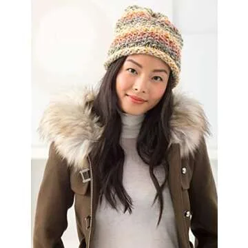 Lion Brand Yarn - Wool-Ease Thick & Quick - Prints & Stripes - 3 Pack with Pattern Cards in Color - 640-610 (Coney Island)