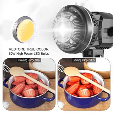 GVM 80W LED Video Light Kit for Professional Photography