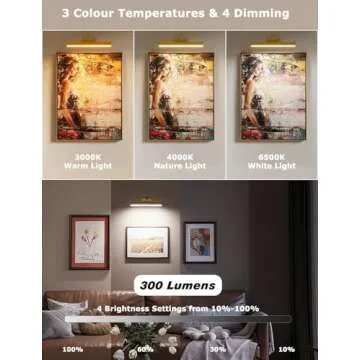 Picture Light Battery Operated, 13in Wireless Art Light for Paintings, Dimmable 5000mAh Recharging B...