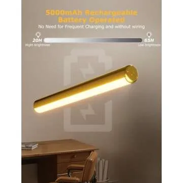 Picture Light Battery Operated, 13in Wireless Art Light for Paintings, Dimmable 5000mAh Recharging Battery Picture Light with Remote Control for Wall, Gallery Dartboard Art Bedroom (Gold-2Pack)