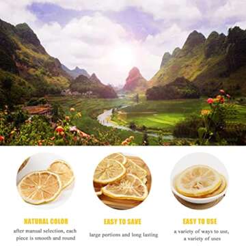 SXET Dried Lemon Slices, 250g/8.8oz Sun-dried Dehydrated Wheels, No Additive, Great for ation 柠檬片 1 count