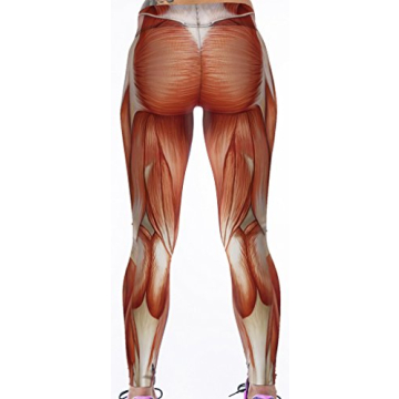 Stylish Sister Amy Girl Fitness Yoga Pants for Women