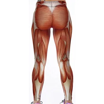 Stylish Sister Amy Girl Fitness Yoga Pants for Women