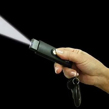 Compact Streetwise Mini Keychain Stun Gun 22 Million Volts