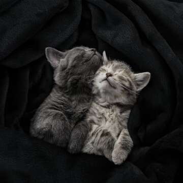 Elegant Utopia Bedding Fleece Blanket for Year-Round Comfort