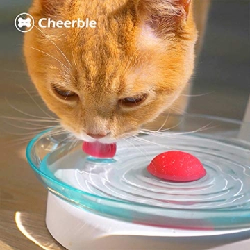 Cheerble Non-Electric Pet Fountain for Cats and Dogs