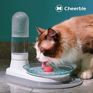 Cheerble Non-Electric Pet Fountain for Cats and Dogs
