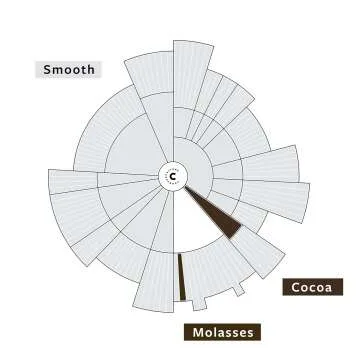 Organic Slow Motion Decaf - Medium Roast Coffee - 12 oz