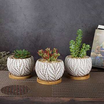 T4U 4 Inch Cement Succulent Plant Pot with Tray, Small Concrete Cactus Flower Planter Set of 3, Leaf Pattern Indoor Succulent Bowl for Home Office