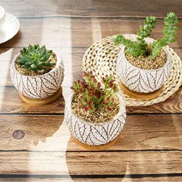T4U 4 Inch Cement Succulent Plant Pot with Tray, Small Concrete Cactus Flower Planter Set of 3, Leaf Pattern Indoor Succulent Bowl for Home Office