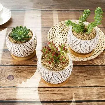 Shop T4U 4 Inch Cement Succulent Pot Set of 3