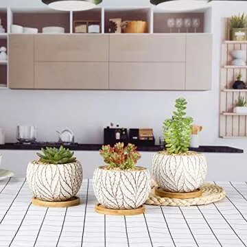 Shop T4U 4 Inch Cement Succulent Pot Set of 3