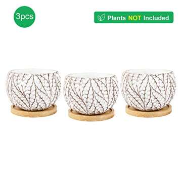 T4U 4 Inch Cement Succulent Plant Pot with Tray, Small Concrete Cactus Flower Planter Set of 3, Leaf Pattern Indoor Succulent Bowl for Home Office