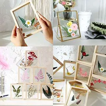 Real Dried Pressed Leaf Flowers Plant Herbarium for Craft Jewelry Making Multiple Colorful Pressed Flowers Daisies for Craft Resin Jewelry Making Art Craft DIY Soap Candle Scrapbooking (White)