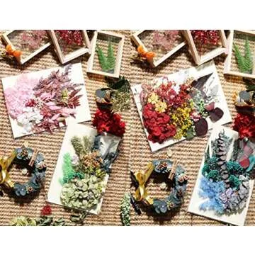 Real Dried Pressed Leaf Flowers Plant Herbarium for Craft Jewelry Making Multiple Colorful Pressed Flowers Daisies for Craft Resin Jewelry Making Art Craft DIY Soap Candle Scrapbooking (White)
