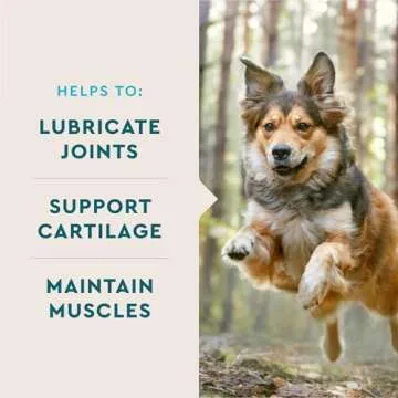 VetIQ Hip & Joint Supplement for Dogs, 180 Chews