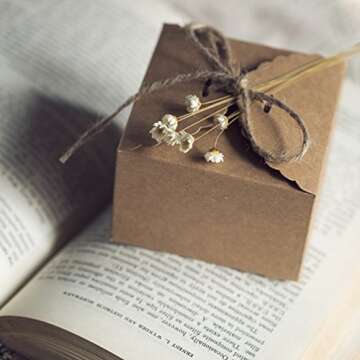 Elegant MLSG Dried Daisy Flowers for Home and Gifts