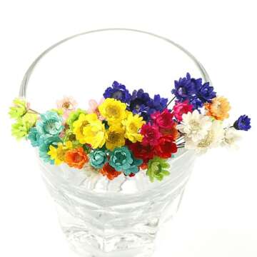 Elegant MLSG Dried Daisy Flowers for Home and Gifts