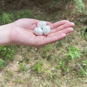 LWINGFLYER 30pcs Artificial Bird Eggs Speckled Mini Fake Foam Eggs Bulk for Easter Crafts Bird Nest ...