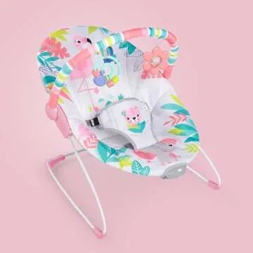Bright Starts Baby Bouncer with Soothing Vibrations