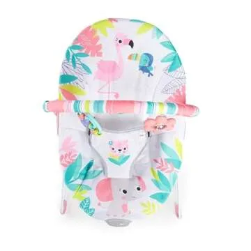 Bright Starts Baby Bouncer with Soothing Vibrations